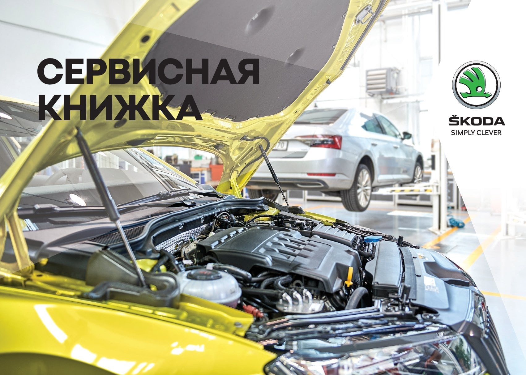 Předpisy pak Škoda Octavia a7