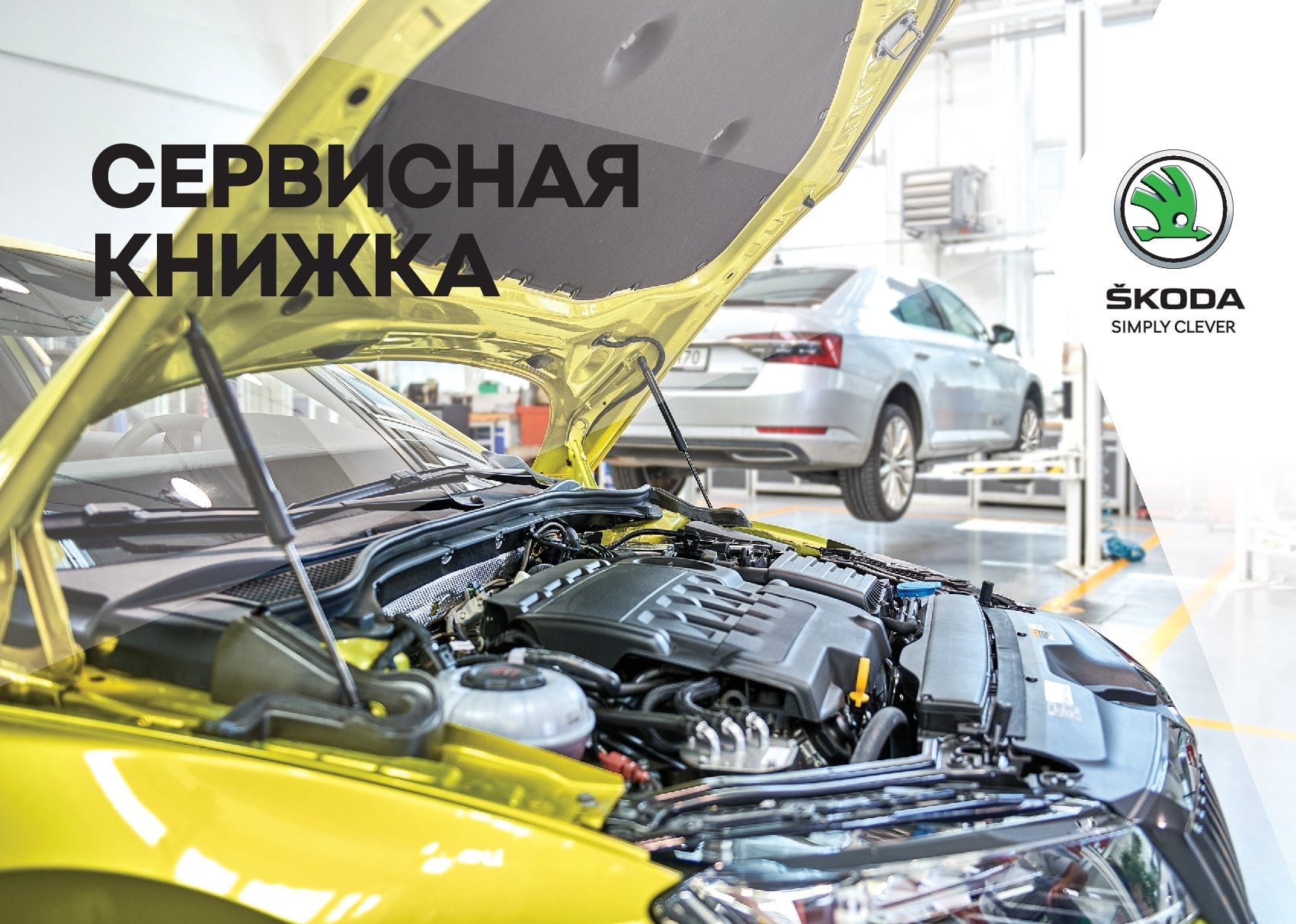Skoda Octavia A7: регламент ТО, допуски масел, сервисная книжка, каталог, руководство по эксплуатации
